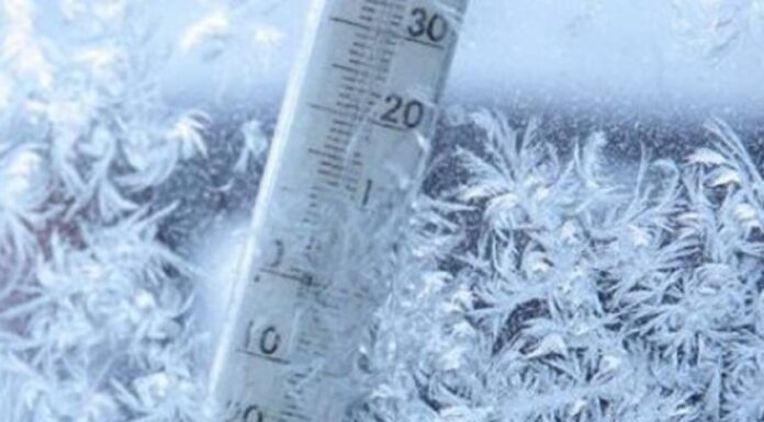 Ger arctic în februarie