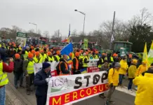 Acordul Mercosur se suspendă. Vot în Parlamentul European