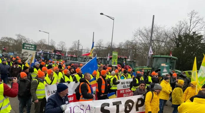 Acordul Mercosur se suspendă. Vot în Parlamentul European