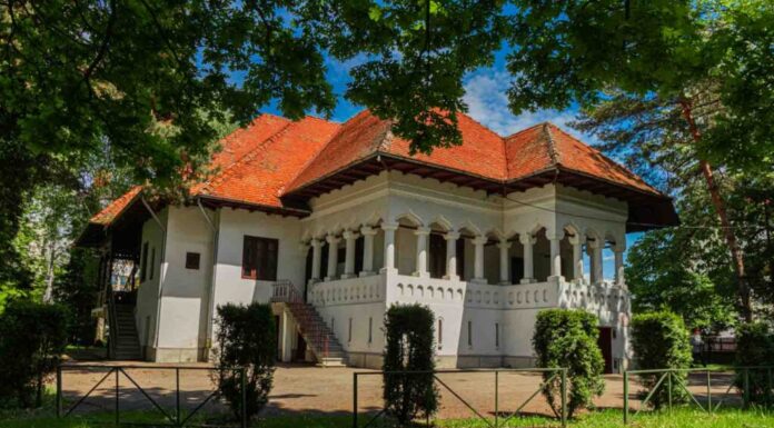 Modernizarea Muzeului Național „Constantin Brâncuși” Târgu Jiu, în linie dreaptă