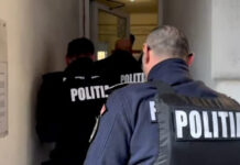 Decizia magistraților pentru pădurarul acuzat de infracțiuni la regimul silvic