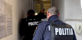 Decizia magistraților pentru pădurarul acuzat de infracțiuni la regimul silvic
