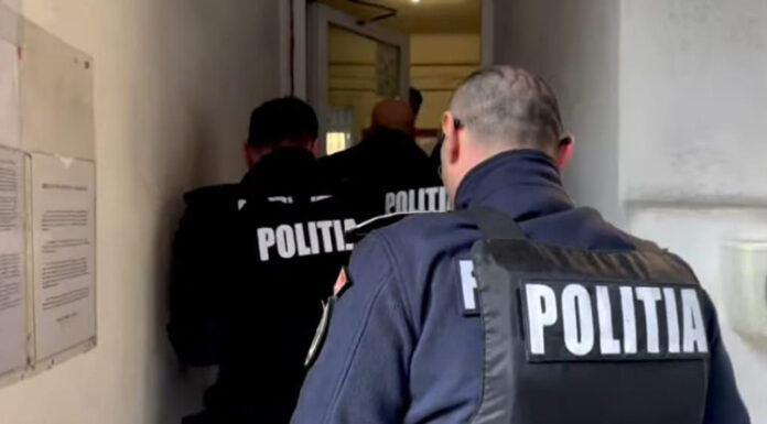 Decizia magistraților pentru pădurarul acuzat de infracțiuni la regimul silvic