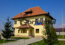 Cătușe pentru scandalurile din Primăria Drăguțești!