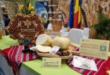 Mercosur, piața românească și ultimul filtru: consumatorul. Mai bine sau mai rău?!