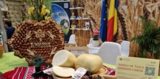 Mercosur, piața românească și ultimul filtru: consumatorul. Mai bine sau mai rău?!
