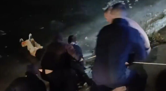 VIDEO: Arbitrul de handbal, care a încercat să se sinucidă, salvat din apele înghețate ale râului Jiu