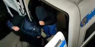 Administratorii unor firme din domeniul comerțului cu material lemnos și un șofer, duși în arestul Poliției Gorj