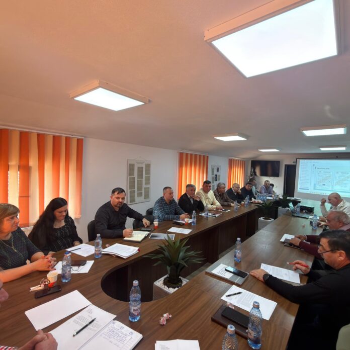 scoarta decizie teren