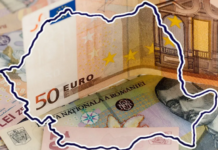 Trecerea la moneda euro, peste cinci ani