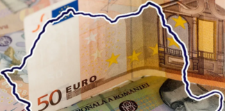 Trecerea la moneda euro, peste cinci ani