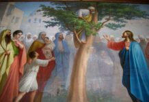 Viaţa Spirituală – Calea, Lumina, Adevărul şi Viaţa – Dumnezeu ne arată că nemărginita milostivire a lui Iisus a pătruns atât de puternic în sufletul lui Zaheu, încât a răscolit şi acel dram de bunătate care îi mai rămăsese!