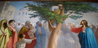 Viaţa Spirituală – Calea, Lumina, Adevărul şi Viaţa – Dumnezeu ne arată că nemărginita milostivire a lui Iisus a pătruns atât de puternic în sufletul lui Zaheu, încât a răscolit şi acel dram de bunătate care îi mai rămăsese!