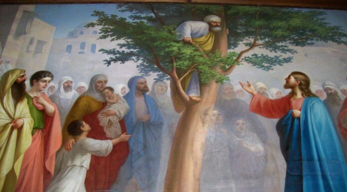 Viaţa Spirituală – Calea, Lumina, Adevărul şi Viaţa – Dumnezeu ne arată că nemărginita milostivire a lui Iisus a pătruns atât de puternic în sufletul lui Zaheu, încât a răscolit şi acel dram de bunătate care îi mai rămăsese!