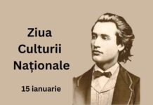 Eminescu în fața justiției de la Iași (I)