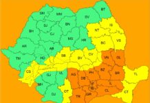 Cod portocaliu de ninsori și viscol