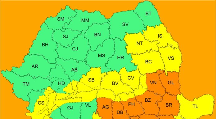 Cod portocaliu de ninsori și viscol
