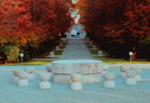 Lucrări de reabilitare în Parcul Central din Târgu Jiu