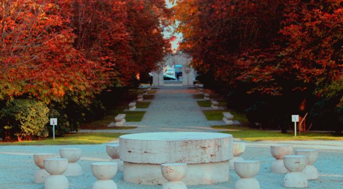 Lucrări de reabilitare în Parcul Central din Târgu Jiu