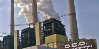 O singură ofertă pentru centrala pe gaz de la Turceni