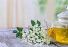 Agricultura pe înțelesul tuturor – Cum să ne protejăm ecologic grădina, casa și gospodăria (5)