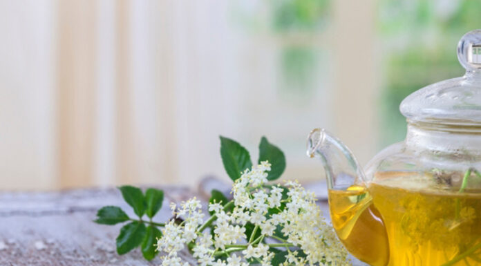 Agricultura pe înțelesul tuturor – Cum să ne protejăm ecologic grădina, casa și gospodăria (5)