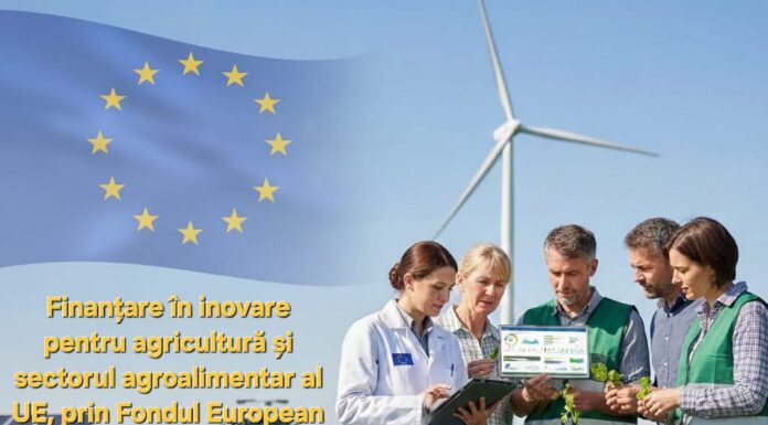 Noi oportunități de finanțare europeană pentru sectorul agroalimentar