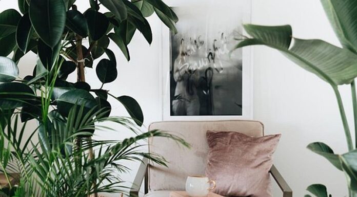 Sage green + light brown – duo-ul cromatic care cucerește tot mai multe persoane când vine vorba de amenajarea interioară