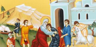 Viaţa Spirituală – Calea, Lumina, Adevărul şi Viaţa – Dumnezeu ne tămăduieşte sufletul din orice boală rătăcitoare şi pierzătoare, dându-i energii noi, luminându-l cu lumina neînserată a iertării şi a întoarcerii la credinţă!