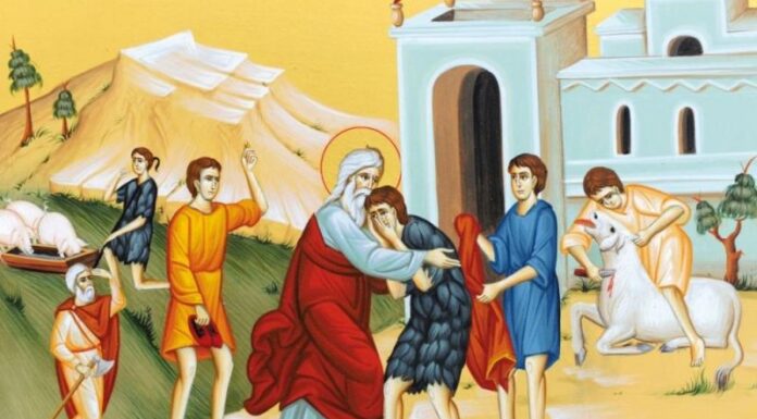 Viaţa Spirituală – Calea, Lumina, Adevărul şi Viaţa – Dumnezeu ne tămăduieşte sufletul din orice boală rătăcitoare şi pierzătoare, dându-i energii noi, luminându-l cu lumina neînserată a iertării şi a întoarcerii la credinţă!