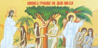 Viaţa Spirituală – Calea, Lumina, Adevărul şi Viaţa – Dumnezeu ne atrage atenţia asupra dragostei de aproapele nostru, asupra milosteniei sufleteşti şi asupra iertării, care este o mare faptă bună şi bine plăcută Lui!