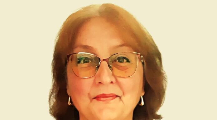 Stâlpul Cerului şi Pasãrea Sufletului în opera lui Brâncuşi