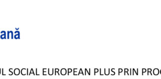 E-Skill – Abilități digitale pentru piața muncii – COD SMIS 334321