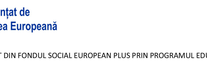 E-Skill – Abilități digitale pentru piața muncii – COD SMIS 334321