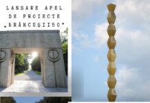 Până la 50.000 de lei pentru proiecte „Brâncuși150”