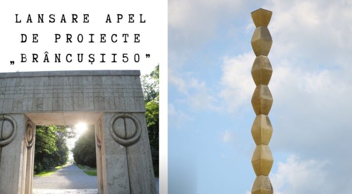 Până la 50.000 de lei pentru proiecte „Brâncuși150”