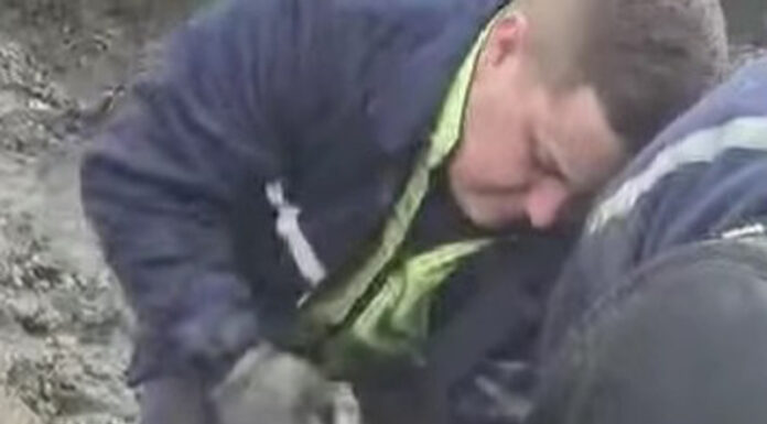 Tichetele de masă pentru minerii și energeticienii Complexului Energetic Oltenia, în pericol!