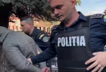 Pădurar reținut pentru infracțiuni silvice, în formă continuată