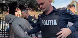 Pădurar reținut pentru infracțiuni silvice, în formă continuată