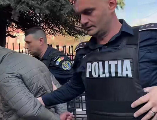 Pădurar reținut pentru infracțiuni silvice, în formă continuată