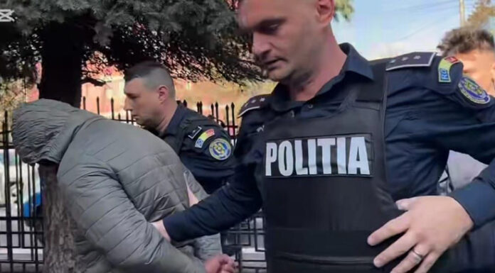 Pădurar reținut pentru infracțiuni silvice, în formă continuată