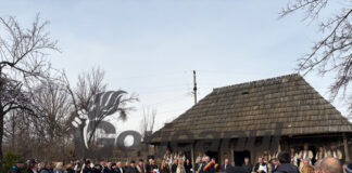 Sărbătoare Brâncuși în curtea casei de la Hobița