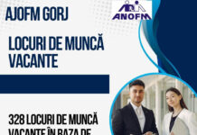AJOFM: Peste 300 de locuri de muncă disponibile în Gorj