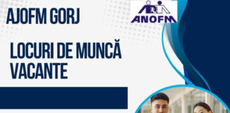 AJOFM: Peste 300 de locuri de muncă disponibile în Gorj
