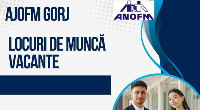 AJOFM: Peste 300 de locuri de muncă disponibile în Gorj
