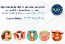 APIA: Bani pentru crescătorii de animale