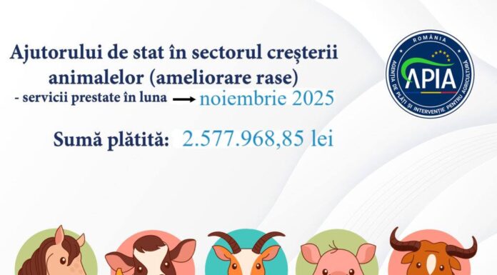 APIA: Bani pentru crescătorii de animale