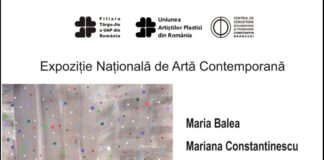 Eveniment artistic de anvergură, vineri, la Târgu Jiu