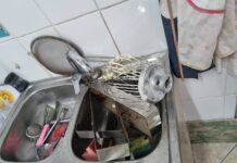 Nereguli grave descoperite de ANSVSA în cofetării