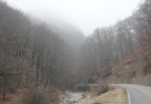 Nostalgii de iarnă – La mijloc de Făurar, revenire pe Dâlma Cucutelor din lumea carstului gorjean